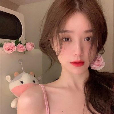 摄影师贝尔蒂与海豚零距离