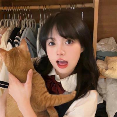 屋顶上的猫
